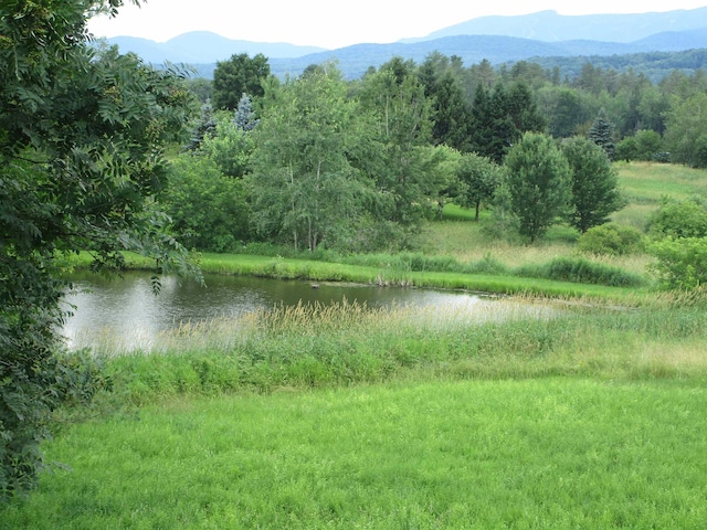 water view with a view of trees and a mountain view