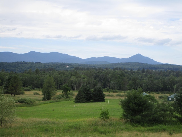 view of mountain feature with a wooded view