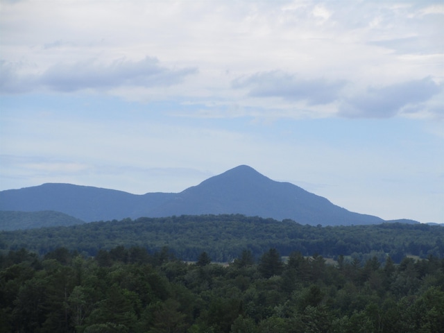 mountain view with a wooded view
