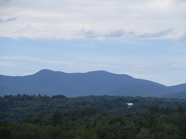 property view of mountains with a wooded view