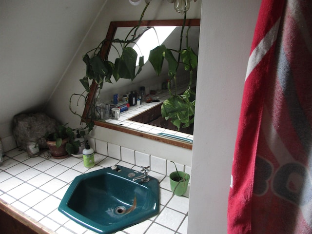 interior details featuring a sink