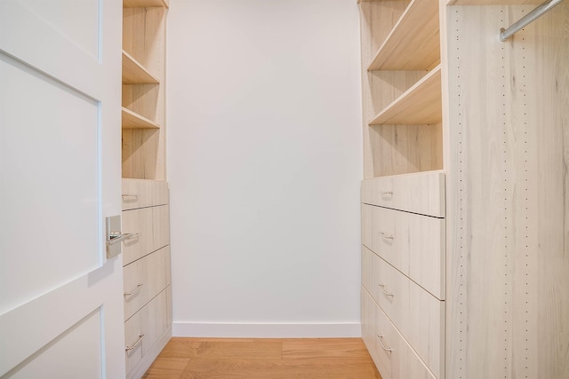 walk in closet featuring light hardwood / wood-style floors