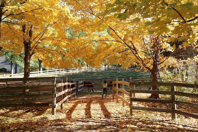 view of home's community with a rural view and fence