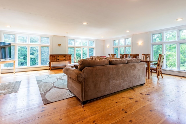 living room with a baseboard radiator and light hardwood / wood-style flooring