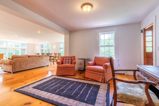 living room featuring baseboard heating and wood-type flooring