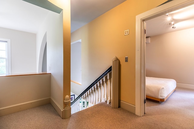 stairway featuring carpet floors and rail lighting