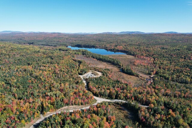 Loon Rd, Berlin NH, 03570 land for sale