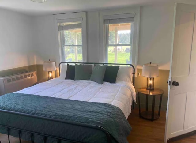 bedroom featuring dark wood-type flooring