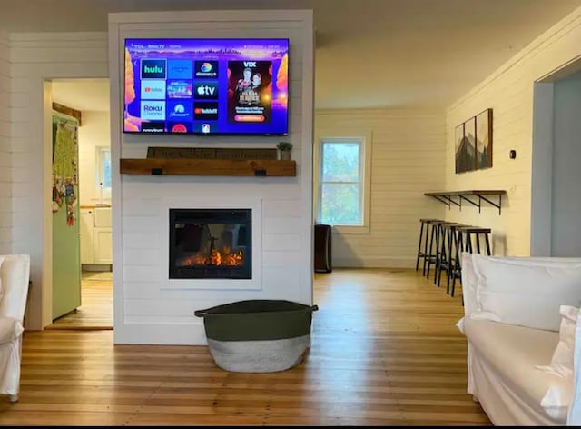 living room with wood-type flooring