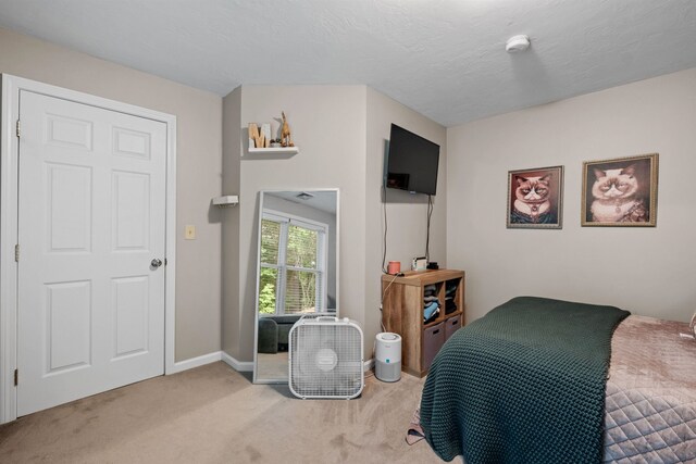 bedroom with light carpet and a textured ceiling