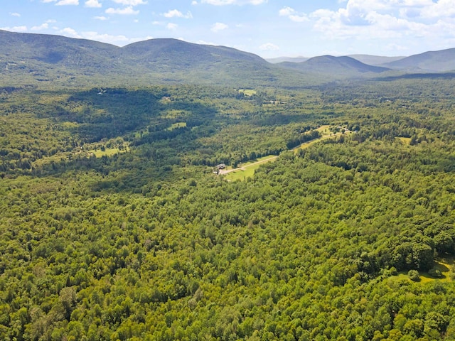 view of mountain feature