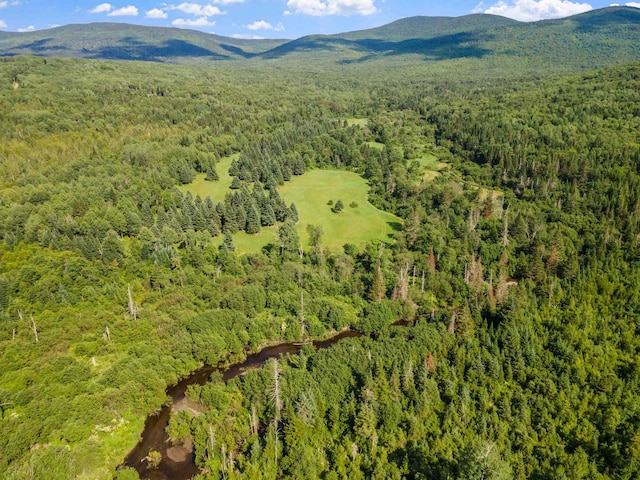 bird's eye view featuring a mountain view