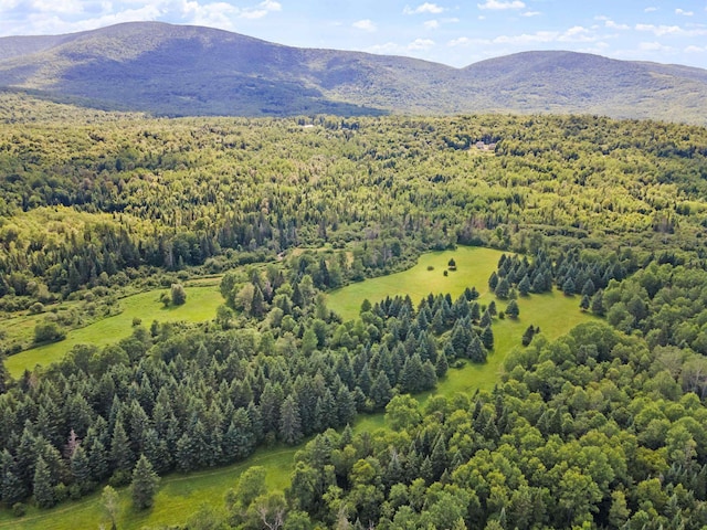 aerial view featuring a mountain view