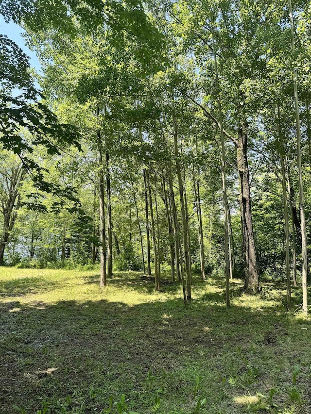 304 Camp Rd, Elmore, VT 05657