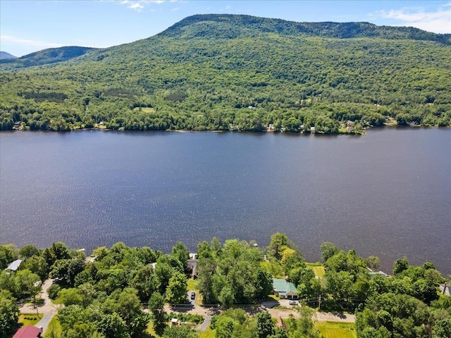 304 Camp Rd, Elmore, VT 05657