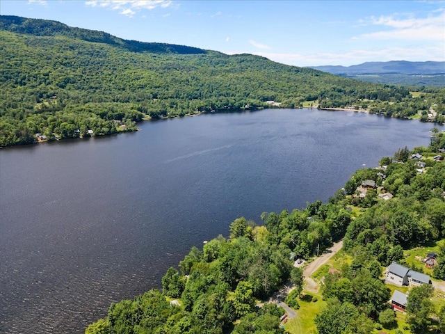 304 Camp Rd, Elmore, VT 05657