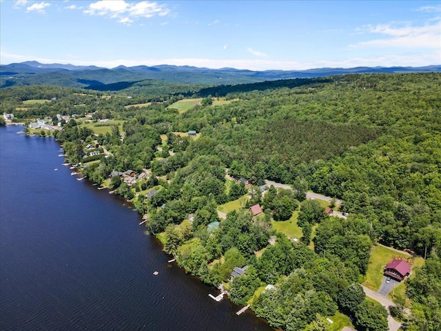 304 Camp Rd, Elmore, VT 05657