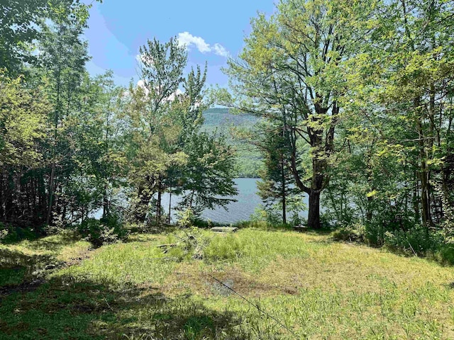 304 Camp Rd, Elmore, VT 05657