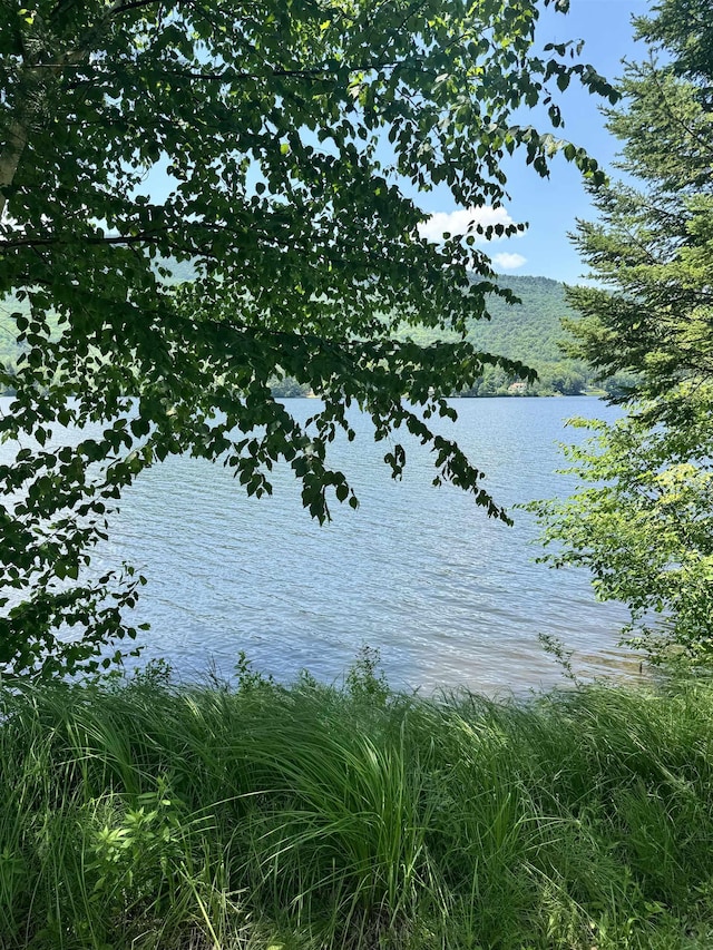 304 Camp Rd, Elmore, VT 05657
