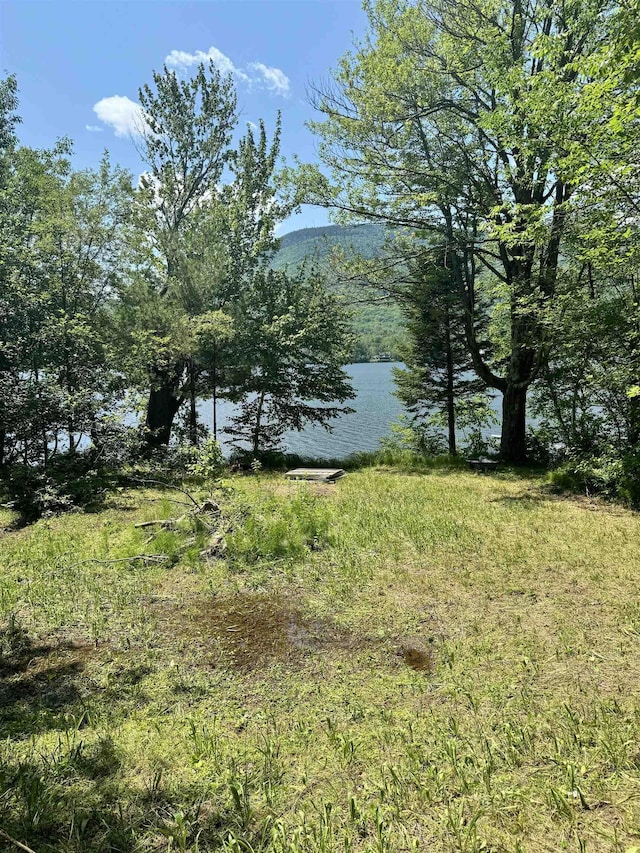 304 Camp Rd, Elmore, VT 05657