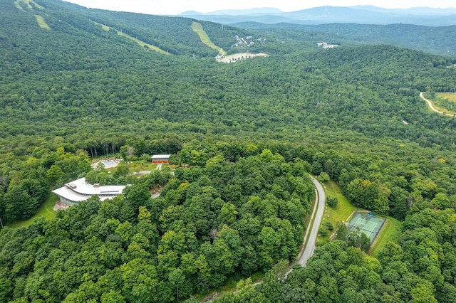 aerial view with a mountain view