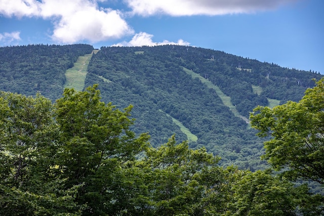 view of mountain feature