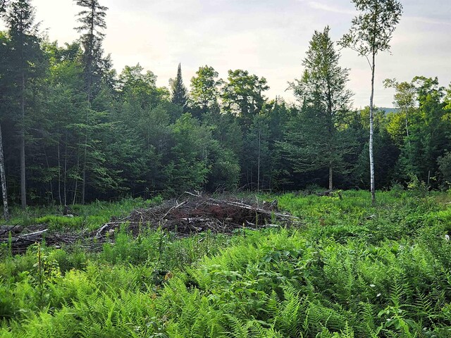 57-16 Jesse Ln, Littleton, NH 03561