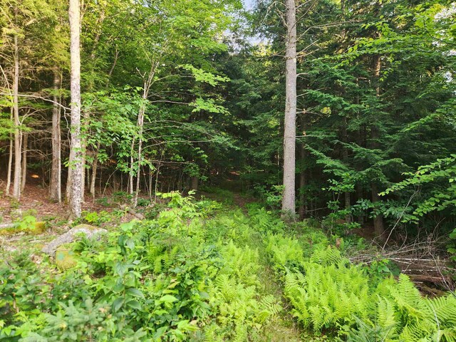 57-16 Jesse Ln, Littleton, NH 03561