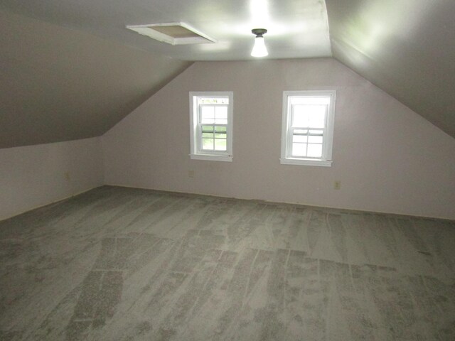 additional living space with carpet and lofted ceiling