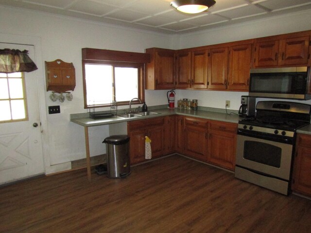 kitchen featuring sink, dark hardwood / wood-style floors, and stainless steel appliances