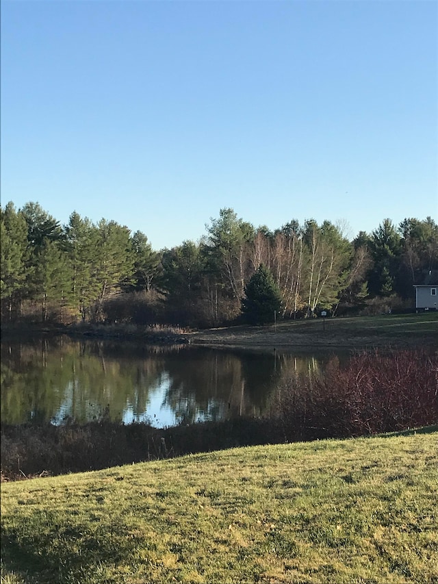 Listing photo 2 for LOT18 River View Rd, Newport NH 03773