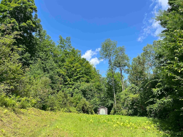 3900 Liberty Hill Rd, Pittsfield VT, 05762 land for sale