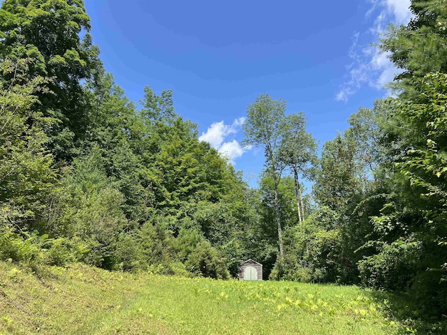 3900 Liberty Hill Rd, Pittsfield, VT 05762