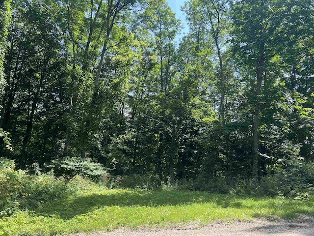 3900 Liberty Hill Rd, Pittsfield, VT 05762
