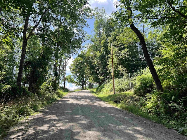 3900 Liberty Hill Rd, Pittsfield, VT 05762