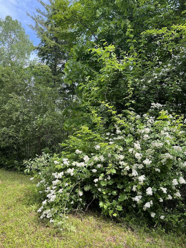 3900 Liberty Hill Rd, Pittsfield, VT 05762