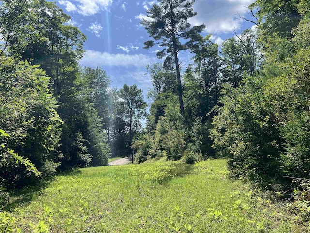 3900 Liberty Hill Rd, Pittsfield, VT 05762