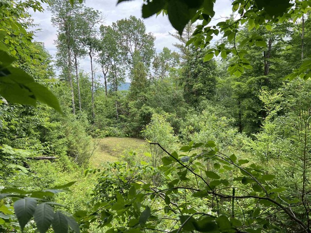 3900 Liberty Hill Rd, Pittsfield, VT 05762
