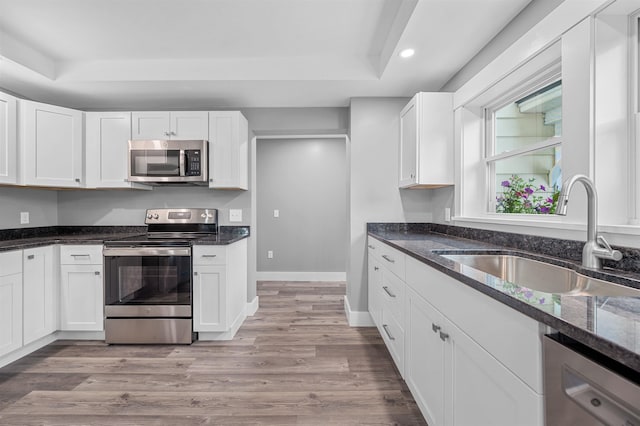 kitchen featuring sink, dark stone countertops, a raised ceiling, stainless steel appliances, and white cabinets