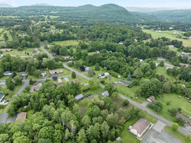 birds eye view of property featuring a mountain view