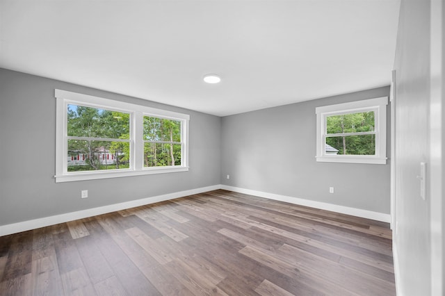 empty room featuring hardwood / wood-style floors and a wealth of natural light