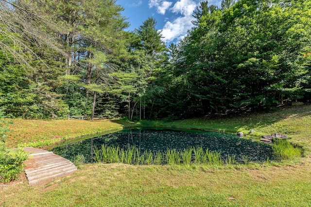 view of yard featuring a water view