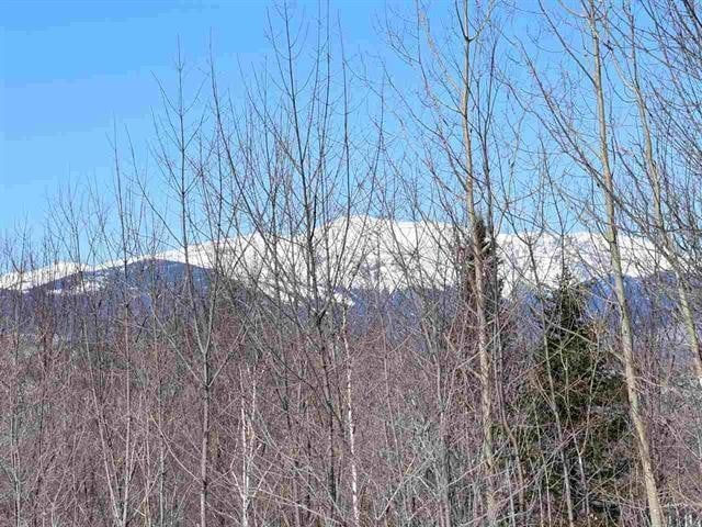 Listing photo 3 for 13 Alpine Dr, Jackson NH 03846