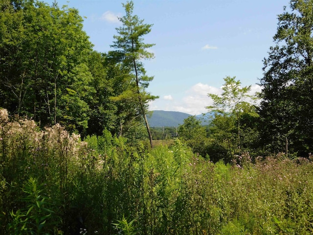 2009 Creek Rd, Clarendon VT, 05759 land for sale