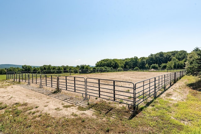 view of yard featuring a rural view