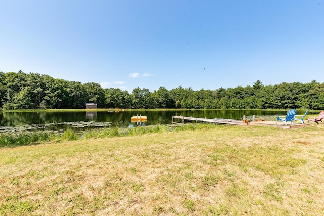 view of yard featuring a water view and a dock