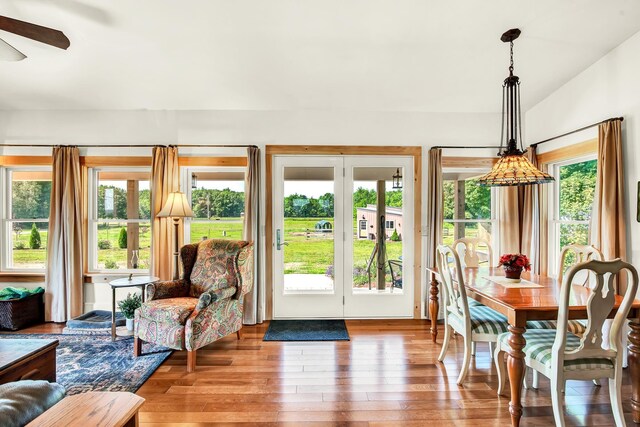 interior space with hardwood / wood-style flooring and ceiling fan