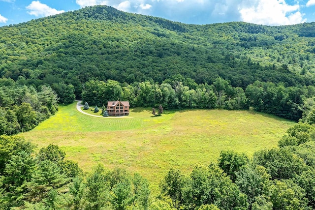 bird's eye view with a mountain view