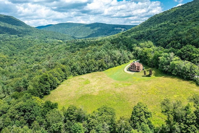 drone / aerial view featuring a mountain view