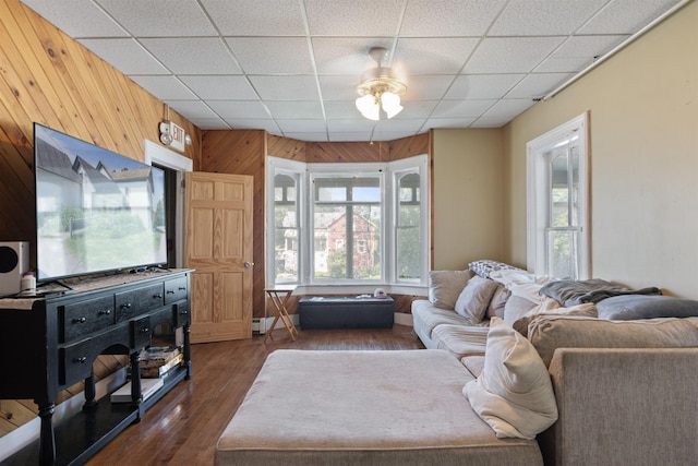 living room featuring a healthy amount of sunlight, dark hardwood / wood-style floors, and a drop ceiling